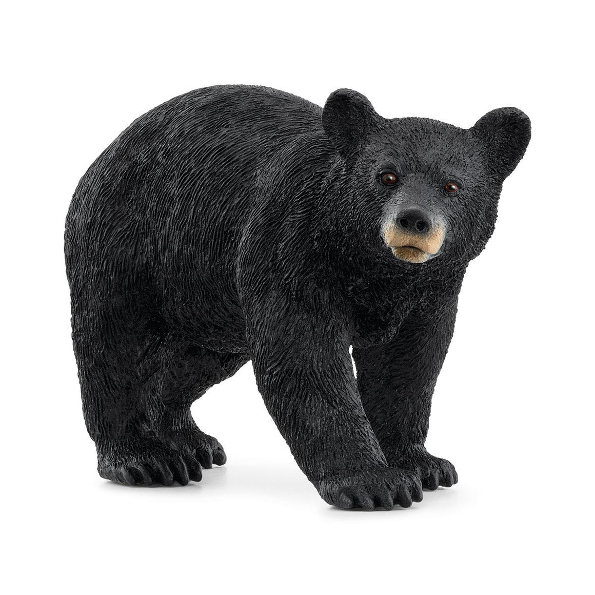 Toy | American Black Bear